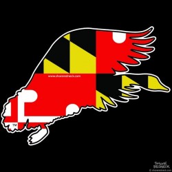 Shore Redneck Maryland Folded Goose Decal